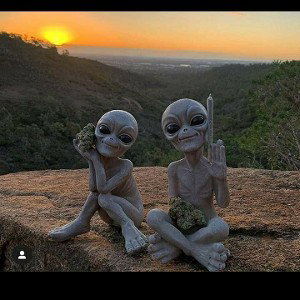 bajando lokura pura👽💯🤙🏼🙏