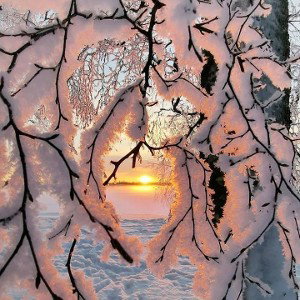 Паранормальное чудо