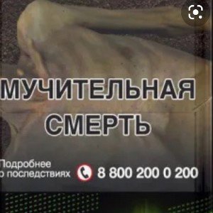 Vinchesta- kto po228