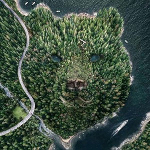 oso