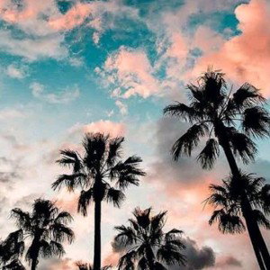 West Coast