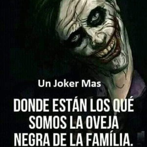 al novato plomo