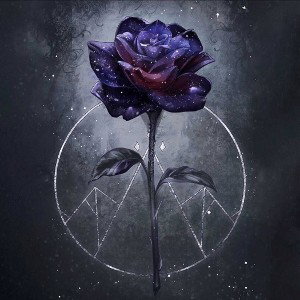 ApolloYB - So Alone