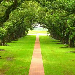DIVINE_-_3:59_AM pround to be indian plzz like indian ho to 🙏