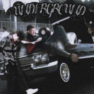 ViceCity