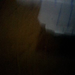 Trap_wrld__-_Black