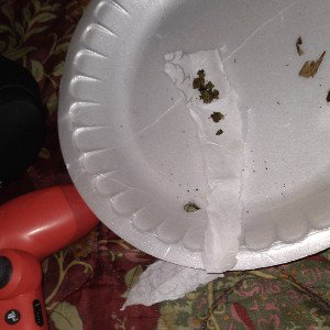 Sweet Swissa like SwishaHouse 5000 watt nigga