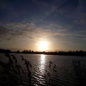 Sekro-Erinnerung