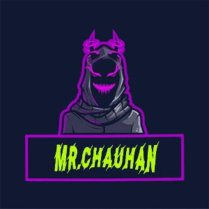 MR.CHAUHAN
