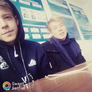 ромашка