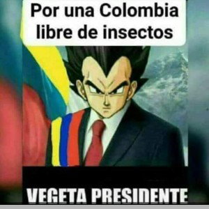 FALLASTE