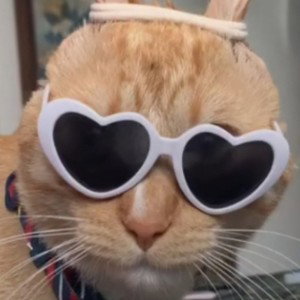 На снегу