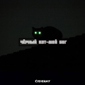 ЧЁРНЫЙ КОТ - ЭТО МОЙ БОГ(ТУРНИР)