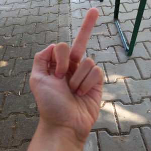 CELÉ BRNA KRÁL 