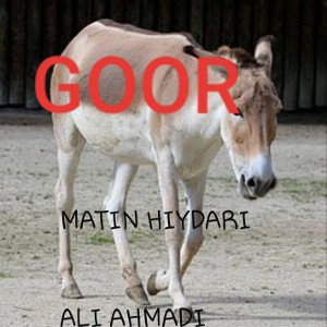 GOOR