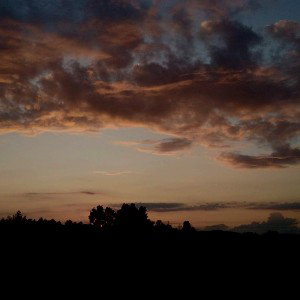 1 Day_12-39
