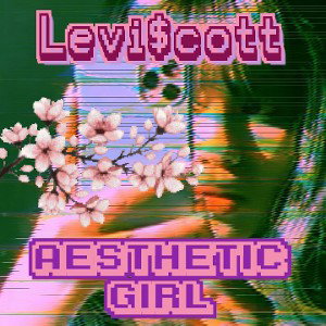 Aestethic girl