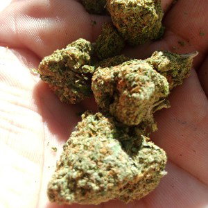 Afghan Ku$h