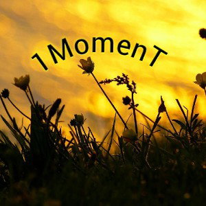 1MomenT - LessonTrap prod. Adam
