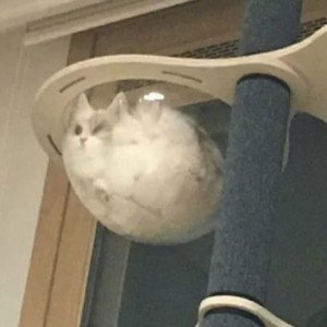 Снова до дна