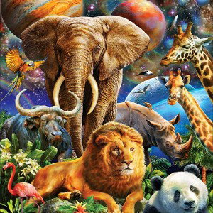 zoo