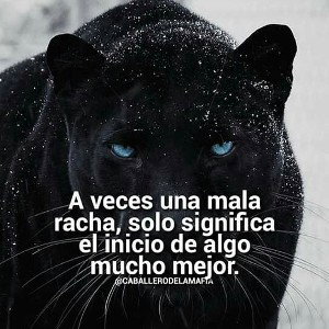 solo es por joder un rato jj