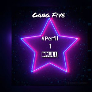 #Perfil °1 ᏀᎪƝᏀ ƑIᏤᎬ  