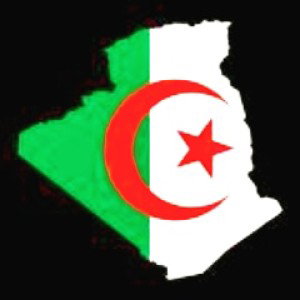 On tree viva l’Algérie 🇩🇿 mon amour 
