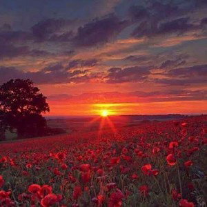AMAZING GRACE
