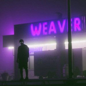 джунгли_флекс