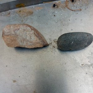 kick rocks Bitch