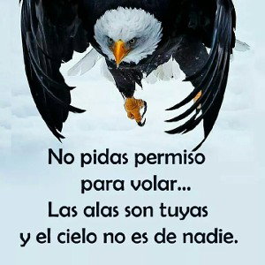 Sol de mi vida -Angel AA Feat.