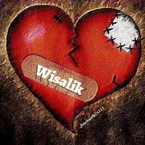 WISALIK - Idiot amoureux 