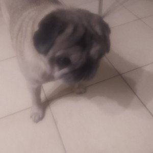 Со