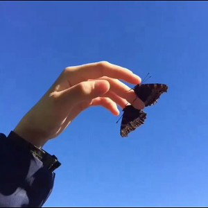 Yoki_20-23
