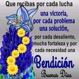 amor