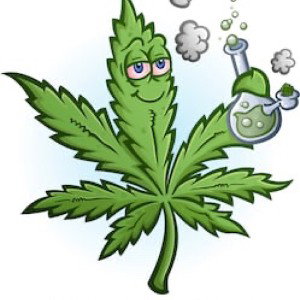 High