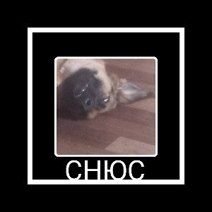 CHЮС