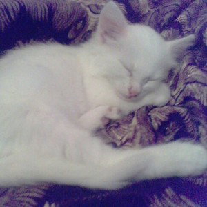 Короткий трек о моём дне