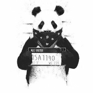 🐼 Panda 2.1
