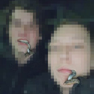 Trip zu den Stimmen