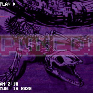 ShaQa!🛸- Pwned!🥊(💀 FreakBitch & 🦎)