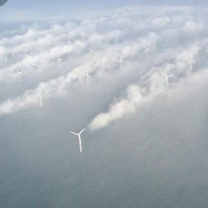 Wie der Wind 