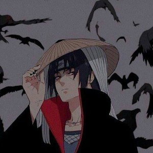 comme les maraudeurs