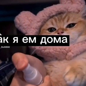 говорил