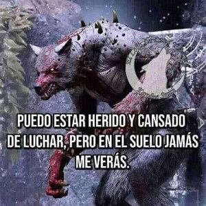 RIMAS que salieron del CORAZÓN! - MUCHO SENTIMIENT