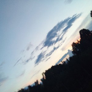 блет ботлес