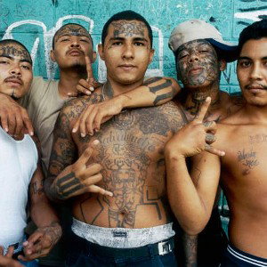 MS13