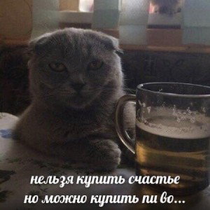 не провоцируй