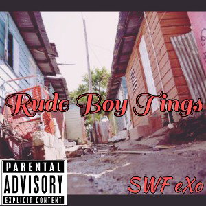 RUDE BOY TINGS